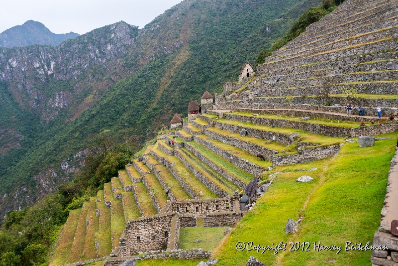 2434 Inca agricultural terraces.jpg